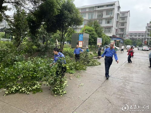 剪除隱患送清涼，修出社區新風貌——婁底市城管執法支隊住建大隊黨支部主題黨日側記