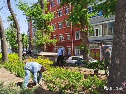 房山區城市管理見實效 綠化美化點亮社區新生活